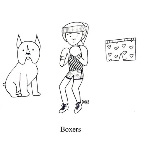 In this comparison cartoon, we see three boxers, a dog boxer, a boxer athlete person, and boxer underwear. 