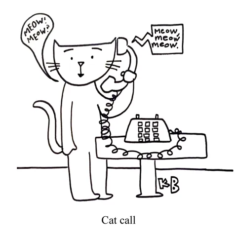In this pun on cat call, we have a cat on the phone, calling a friend. The conversation, of course, is exclusively meows. 