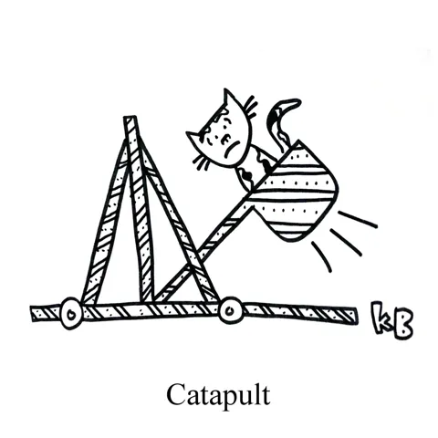 In this pun on catapult, we see a catapult that is about to propel a very scared cat into the air. 