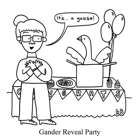In this pun on gender reveal parties, a person stands in front of a party table, and a goose pops out of a box. She proclaims, "It's... a goose!" 