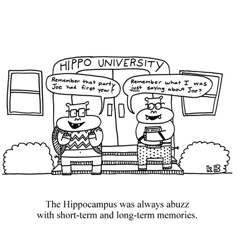 Two hippos stand on a college campus - a hippocampus-- at Hippo University. One shares a recent memory, the other, a more distant memory. 