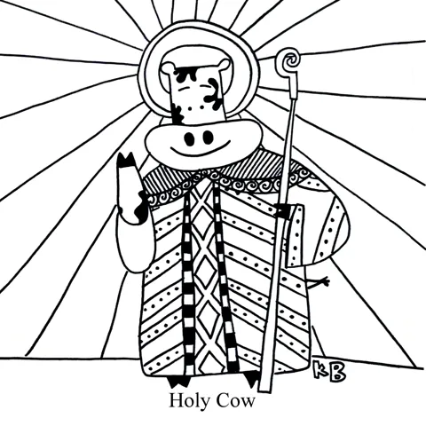 In this pun on the exclamation HOLY COW!, we see a holy cow, which is a cow who is a saint. 