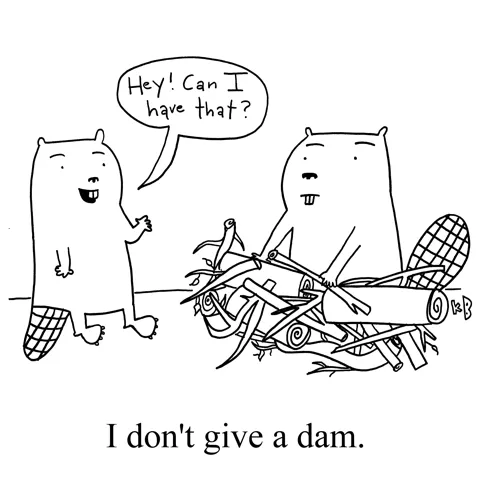 One beaver asks another beaver, who is building a dam, "Hey! Can I have that?"