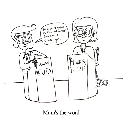 In this pun on mum's the word, we see a game show called Flower Feud, and the host asks, "This perennial is the official flower of Chicago." The answer? Mum's the word. 