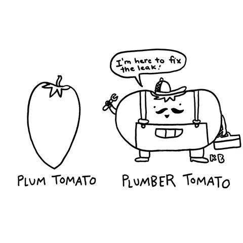 First, we see a drawing of a plum tomato. Next to it is a drawing of a plumber tomato, which is, of course, a tomato in overalls with a mustache and a wrench, ready to fix a leak. 