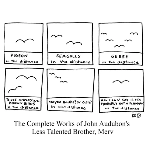 In this play on naturalist and ornithologist John Audubon's beautiful bird paintings, we see 6 paintings of birds from John's less talented brother, Merv. They are all just curvy Vs, each labeled a type of bird "in the distance." 
