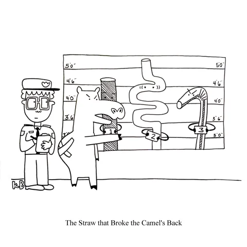 In this pun on the straw that broke the camel's back, we see a camel with a broken back staring at a police lineup. All the culprits are straws, and the camel i.d.s the perp. 