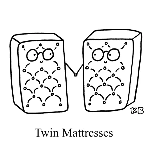 In this play on the size twin for a mattress, we see two identical twin mattresses. The shock of learning you're having twins must be minuscule compared to the shock of learning those twins are going to be mattresses!